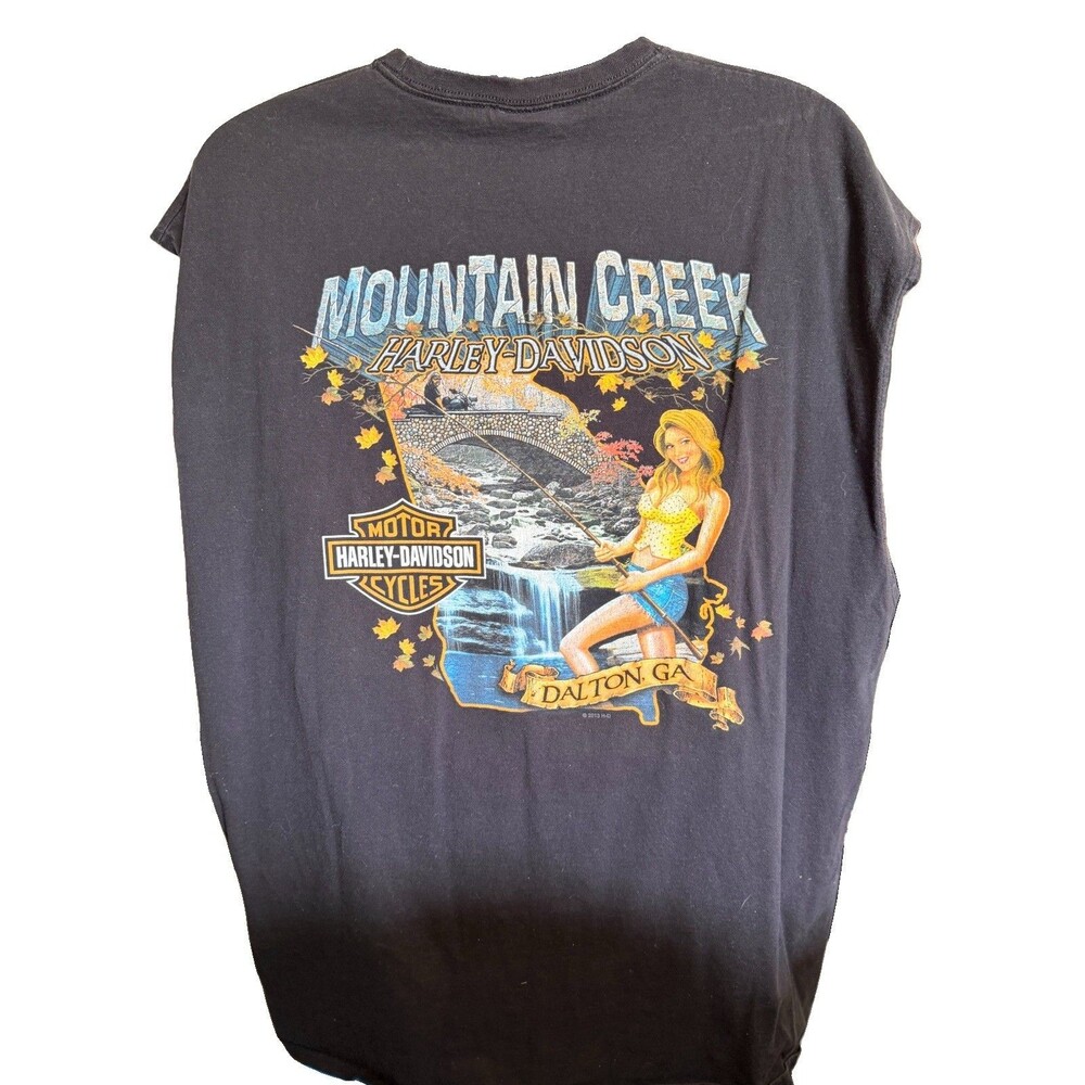 Harley-Davidson Mountain Creek Dalton Georgia Biker  T-Shirt Mens 4XL Pinup